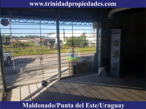 Imagen 8 de 13 de Local, Depósito Para Logística Maldonado