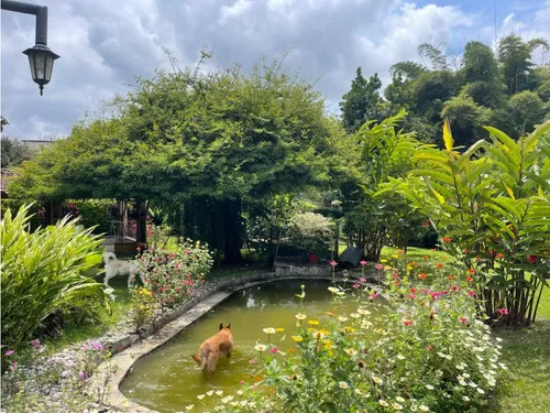 Vendo Finca Vía Tebaida