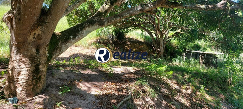 Imagem 22 de 30 de Chacará Com Área Lazer Completa Composto Por 8 Quartos À Venda Em Village Do Sol, Guarapari-es - Realize Negócios Imobiliários. - Ch00024 - 69342096