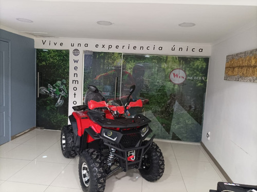 Imagen 3 de 8 de Atv 249cc Modelo Hunter