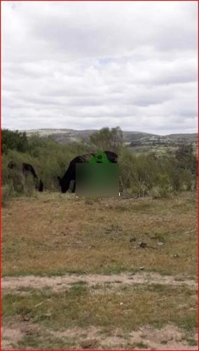 Imagen 9 de 13 de Venta De Campo Zona De Aigua, 121 Hectareas, Con Buen Acceso, Aguadas.