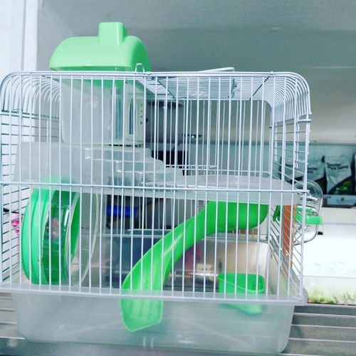 Jaulas Casita Hamster Con Accesorios Envío Gratis 