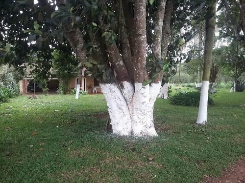 Cód 3224 - Lindo Sitio Com 14.000 M² - 3224