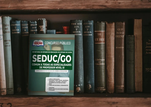 Kit Apostila Seduc Go - Comum Professor Nível 3 + Testes