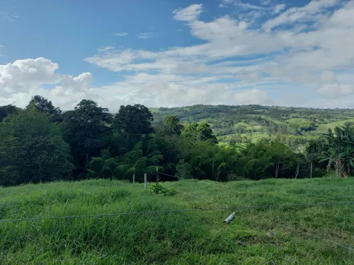 Vendo Finca Ganadera En Restrepo Valle