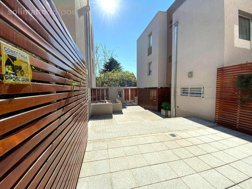 Imagen 2 de 30 de Triplex 5 Amb Con Terraza Y Patio Propio - Olivos