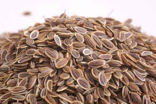 Endro Erva Seca Para Chá 100 Gr