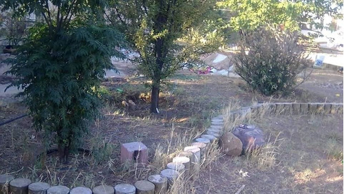 Imagen 7 de 12 de Casa De Una Planta En Venta Fracc. Sierra Azul