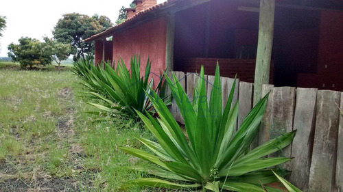 Imagem 15 de 16 de Chácara Com 3 Dorms, Zona Rural, Tambaú - R$ 550.000,00, 8.400m² - Codigo: 10131469 - V10131469