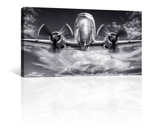 Cuadro Decorativo Aviones Canvas Avion Metalico En Las Nubes