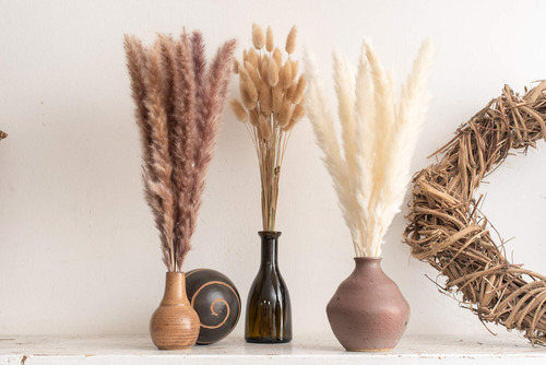 30 Pampas Hierba Seca Natural +60 Hierba Natural Cola Conejo