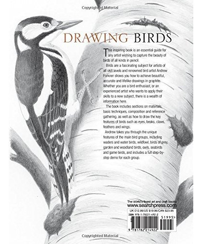 Drawing Birds, De Forkner, Andrew. Editorial Search Press, Tapa Blanda En Inglés, 2018