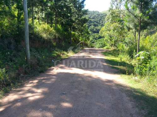 Imagem 1 de 10 de Terreno - Coronel Aparicio Borges - Ref: 38025 - V-38025