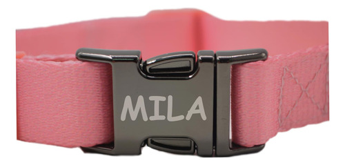 Collar Para Perro Personalizable Con Su Nombre Y Teléfono