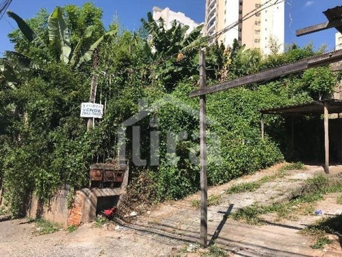 Imagem 7 de 10 de Ref.: 1517 - Terreno Em São Paulo Para Venda - V1517