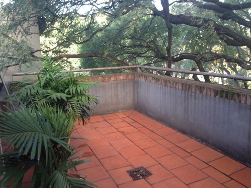 Imagen 3 de 21 de Lindisimo Triplex, Con 2 Terrazas Propias, Parrilla Y Dos Cocheras.