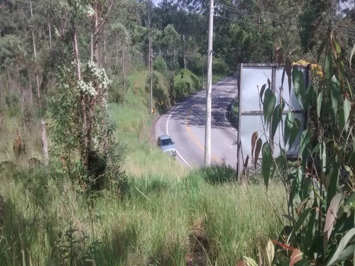 Imagem 6 de 8 de Terreno - Te00022 - 33711529