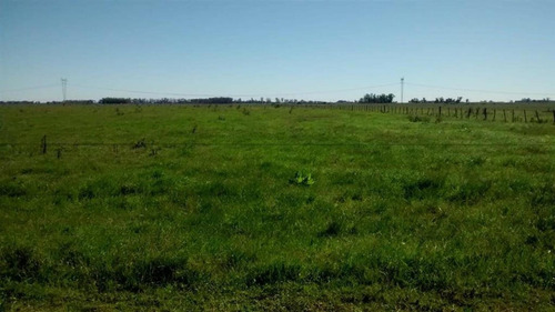 Imagen 22 de 24 de Campo En San Vicente