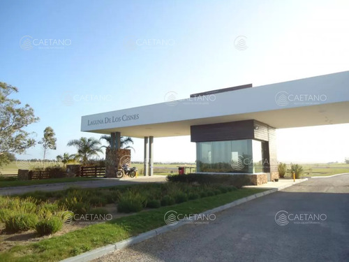 50 Metros De Costa, Acepta Financiacion Sin Interes, Venta, Chacra, Punta Del Este, Uruguay, Laguna De Los Cisnes