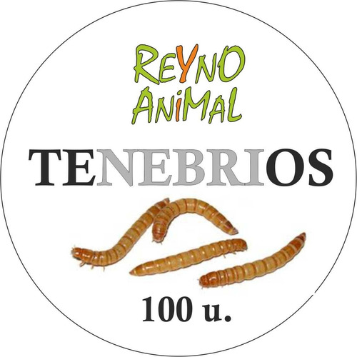 Tenebrios Por 100 U Alimento Vivo Para Reptiles