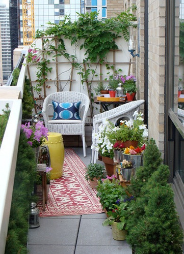 Imagen 9 de 10 de Paisajismo Y Jardinería: Jardines, Terrazas Y Balcones
