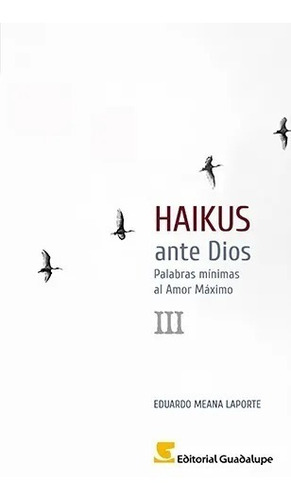 Haikus Ante Dios Iii