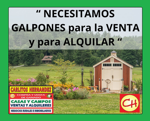 En Rivera Necesitamos Campos Par Arrendar Se Ofrece Garantia