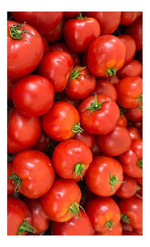 Tomate Cherry Rojo Italiano X 1000 Semillas -profesional