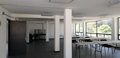 Imagen 19 de 30 de Insurgentes Oficina Disponible En Renta