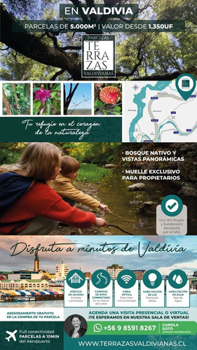 Parcelas Urbanizadas Acceso Norte Valdivia