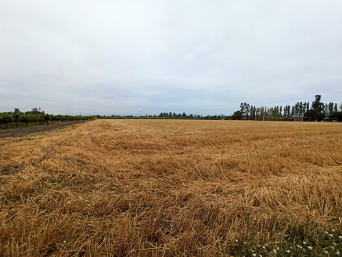 Venta Agrícola Peralillo