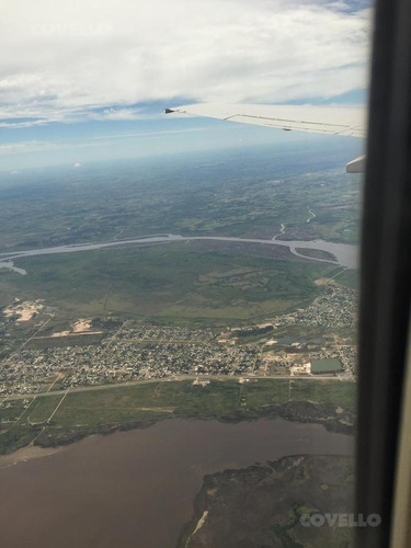 Imagen 1 de 4 de Campo - Delta Del Tigre