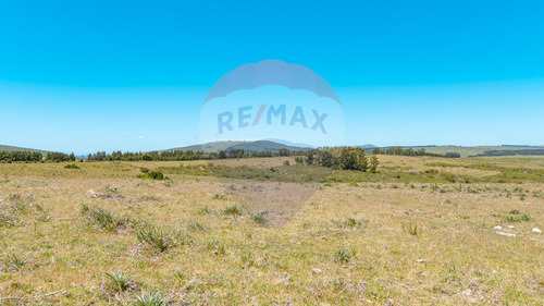 Chacras En Venta Ruta 39 San Carlos - Oportunidad!