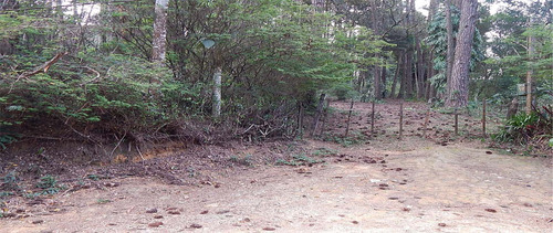 Imagem 3 de 5 de Terreno À Venda, 10500 M² Por R$ 3.000.000,00 - Jardim Colibri - Cotia/sp - Te4648
