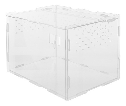 Práctica Caja De Alimentación Para Reptiles, Vitrina Para La