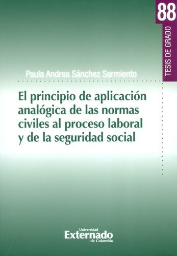 Libro Principio De Aplicación Analógica De Las Normas Civil