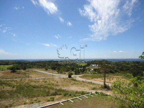 Imagem 5 de 15 de Terreno - Mato Queimado - Ref: 2933 - V-gi2939
