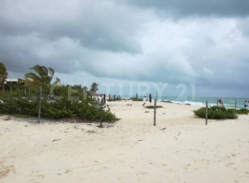 Imagen 3 de 15 de Venta De Terreno Turistico Hotelero En Isla Blanca Cancún Ce23822
