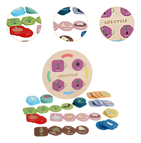 Kit De Tableros De Rompecabezas De Ciclo De Vida Montessori,