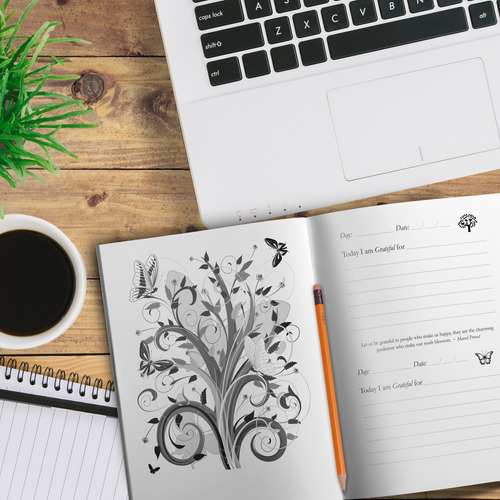 The One-minute Gratitude Journal