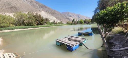 Agrícola En Venta En Vicuña