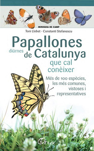 Papallones Diürnes De Catalunya: Que Cal Conèixer (miniguia