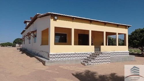 Imagem 4 de 18 de Granja A Venda Lagoa Nova