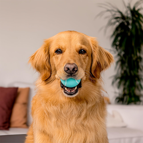 Chew Ball Playology Squeaky Para Perros, Con Aroma A Mantequ