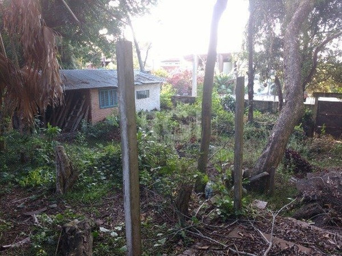 Terreno Em Vila Conceição - Mi269249