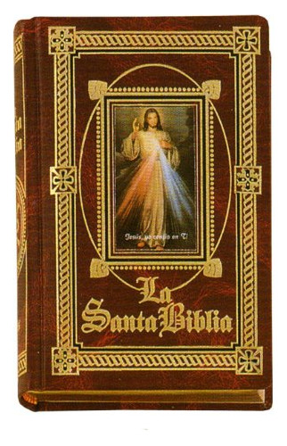 Libro La Santa Biblia De Alfredo Ortells