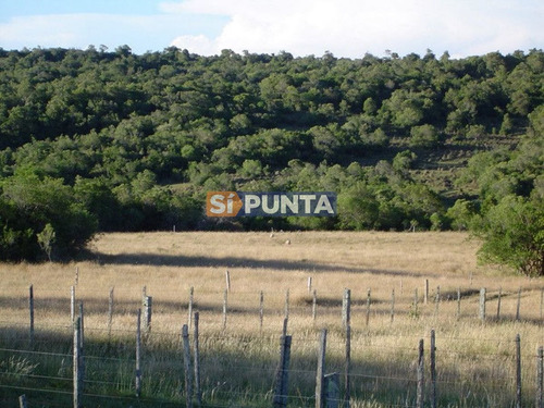 Imagen 3 de 30 de Campo Turistico Cerca De Punta Del Este