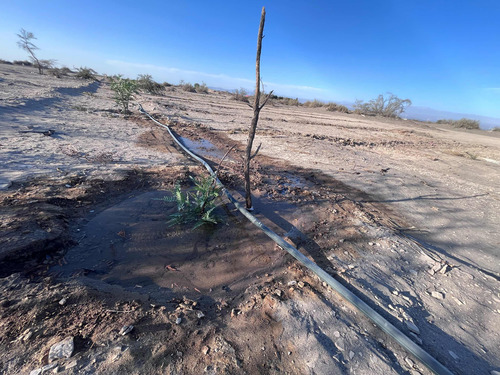 Gran Oportunidad De Inversión,parcelas En Venta En Latirana