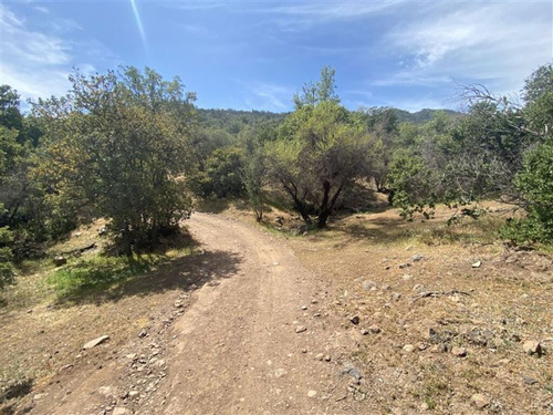 Ex Fundo La Punta Sector Cordillera (75869)