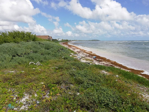 Imagen 8 de 16 de Oportunidad!! Terreno Frente Al Mar Mahahual-rio Indio P2699